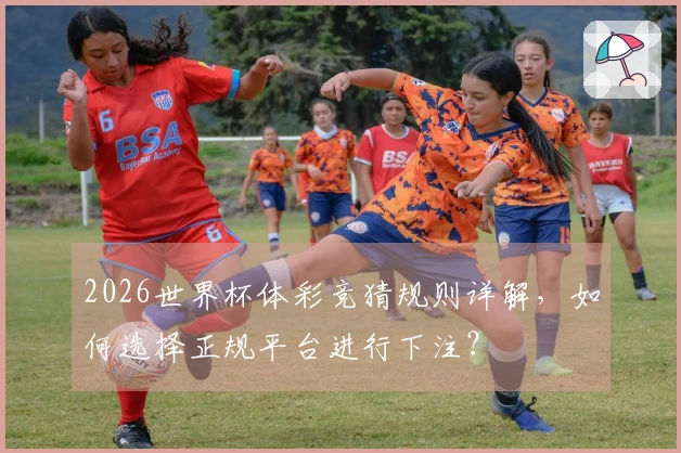 2026世界杯体彩竞猜规则详解，如何选择正规平台进行下注？