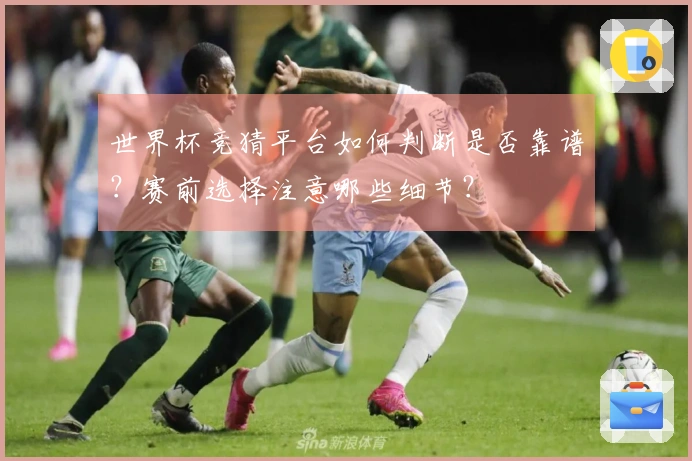世界杯竞猜平台如何判断是否靠谱？赛前选择注意哪些细节？