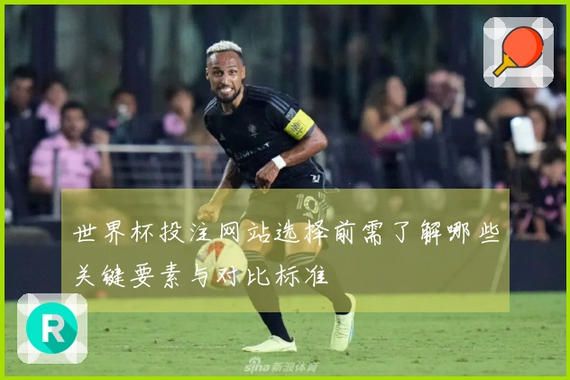 世界杯投注网站选择前需了解哪些关键要素与对比标准